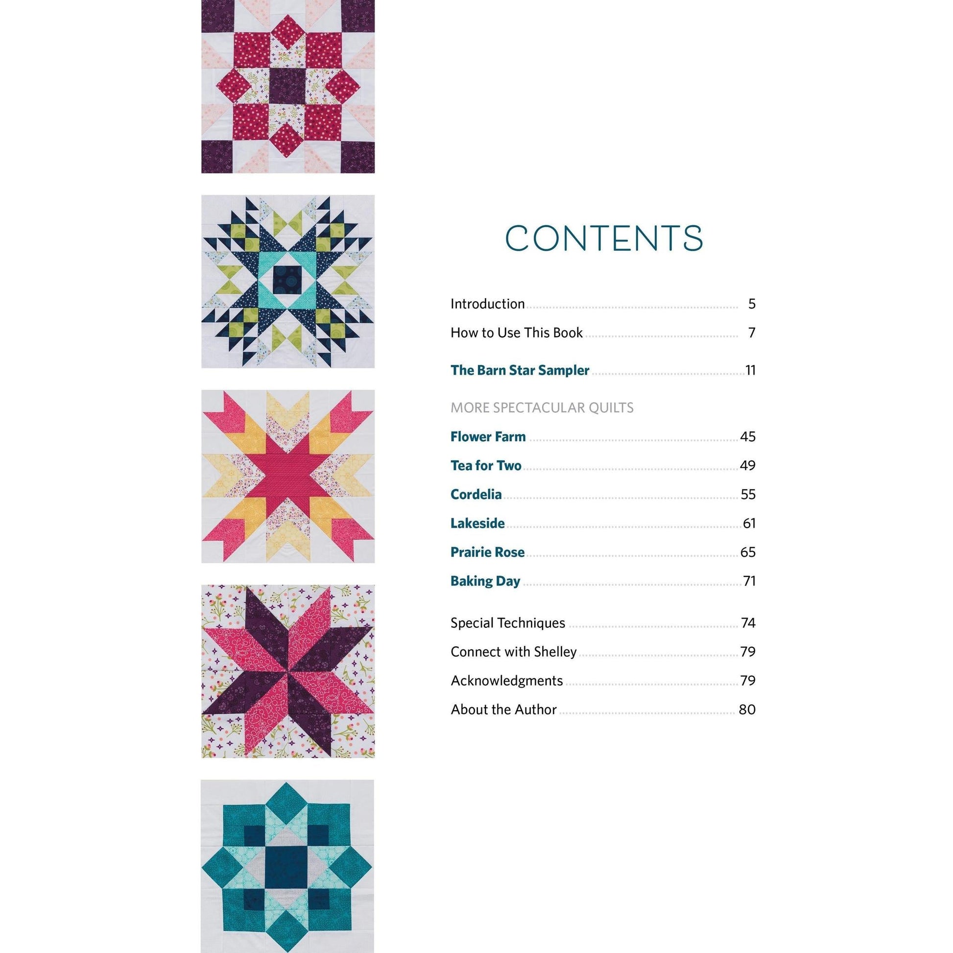 Book: Barn Star Sampler