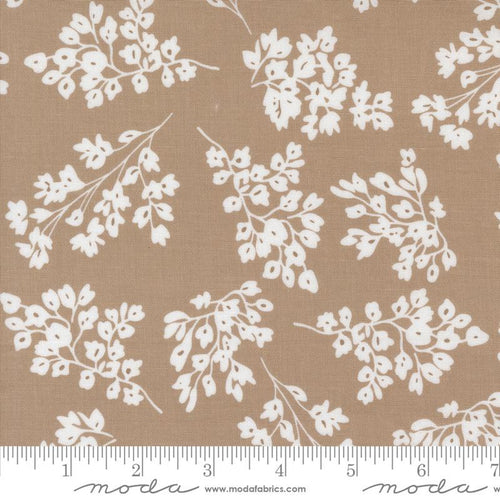 Botany by Alli K Design - Seedlings Earth