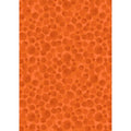 Bumbleberries by Lewis & Irene - Brazilian orange