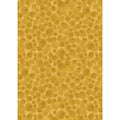 Bumbleberries by Lewis & Irene - English mustard