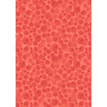 Bumbleberries by Lewis & Irene - Polynesian Coral
