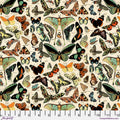 Palette Canvas Cloth - Teal Butterflies Canvas - Teal