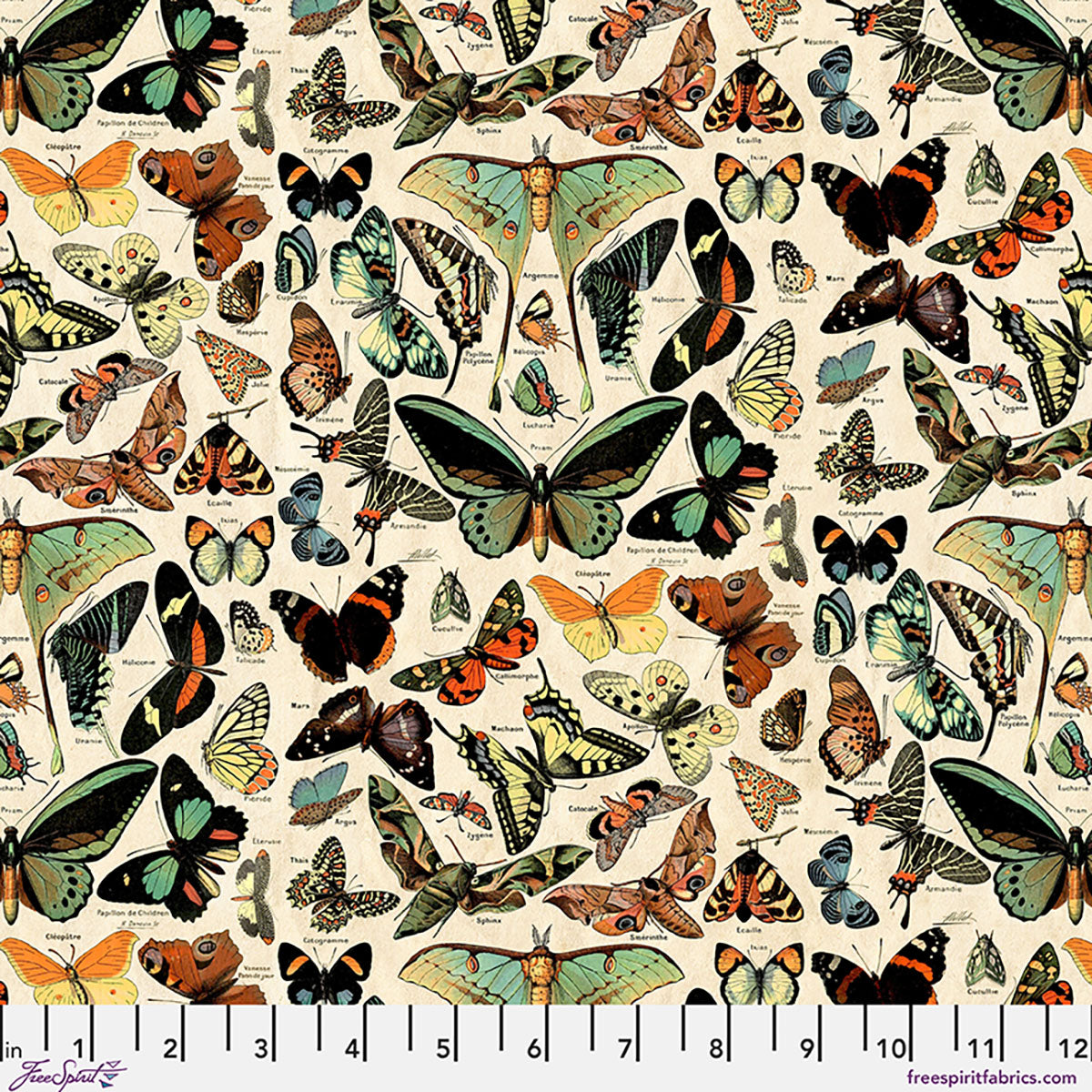 Palette Canvas Cloth - Teal Butterflies Canvas - Teal