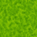 Color Dance - Green