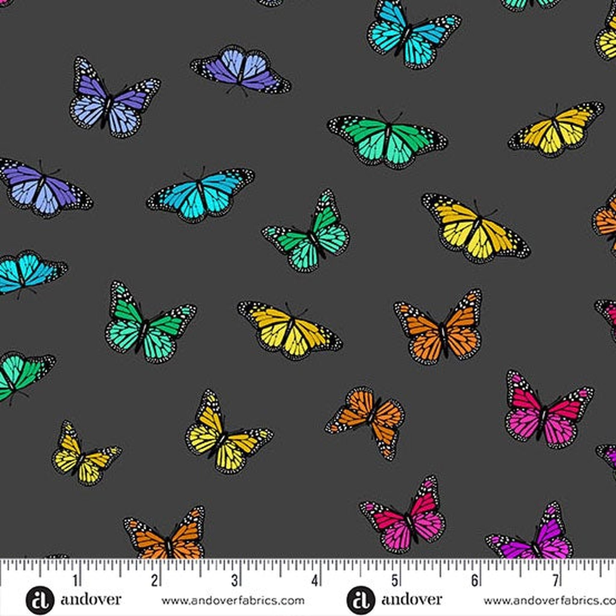 Color Wheel by Alison Glass - Butterfly Rainbow: Night