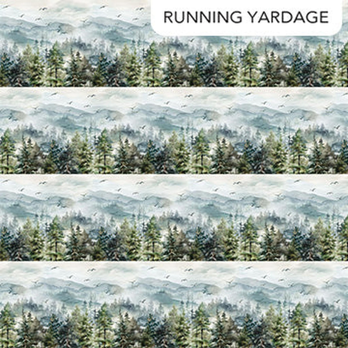 Altitude - Border Stripe - Blue Multi