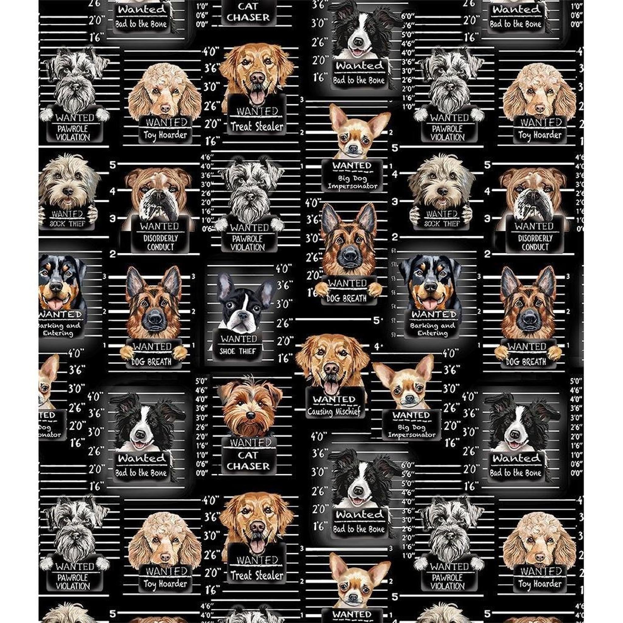 Dog Mugshots