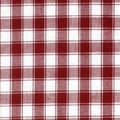 Dunroven House Tea Towel - Check Red and White