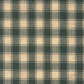 Dunroven House Tea Towel - Green/Teadye