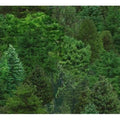 Elizabeth Studio Landscape Medley - Trees