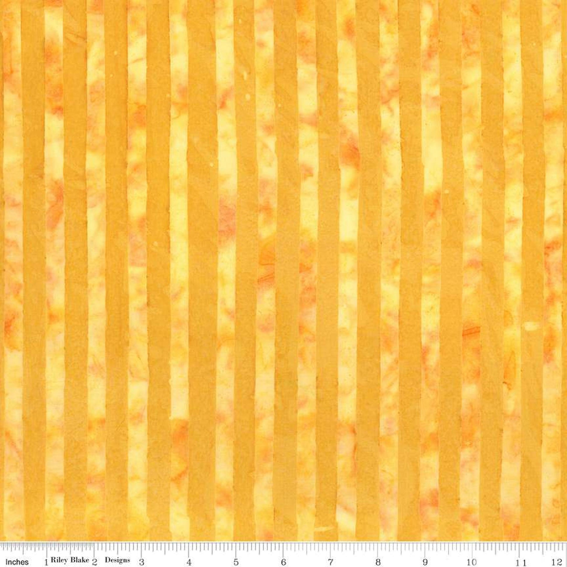 Expressions Batik Elementals by Riley Blake - Get in Line: Sunshine