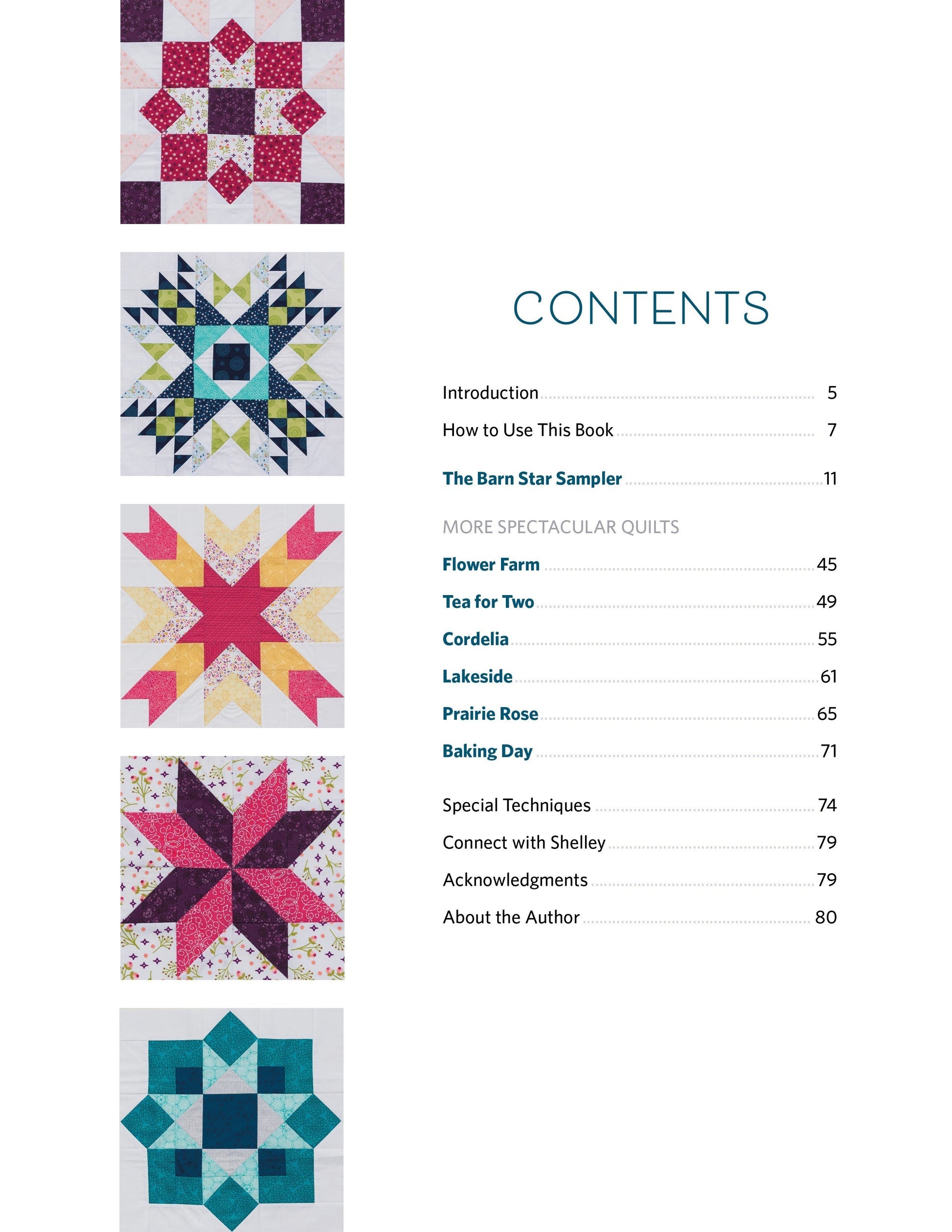 Book: Barn Star Sampler