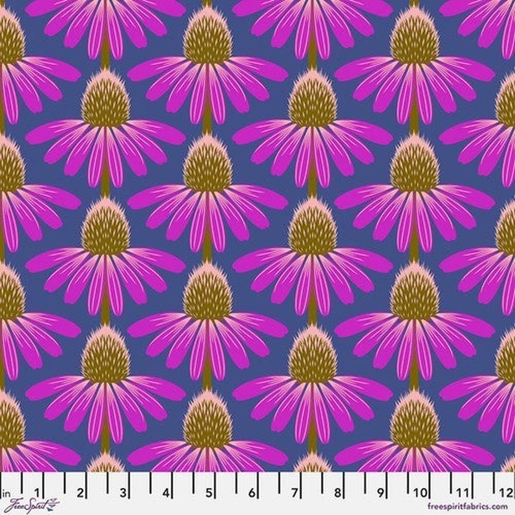 FS Anna Maria Horner - Echinacea - Haute