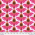FS Anna Maria Horner - Echinacea - Maraschino