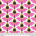 FS Anna Maria Horner - Echinacea - True