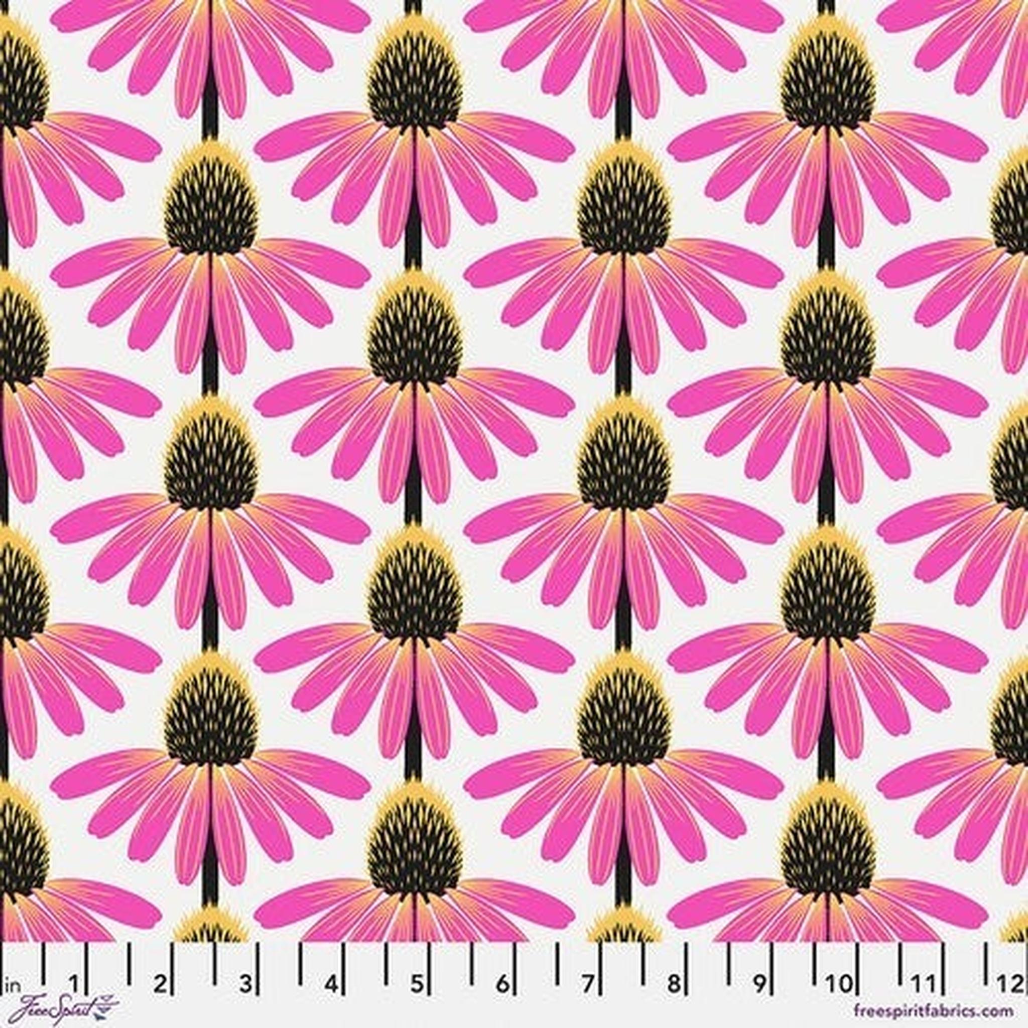 FS Anna Maria Horner - Echinacea - True