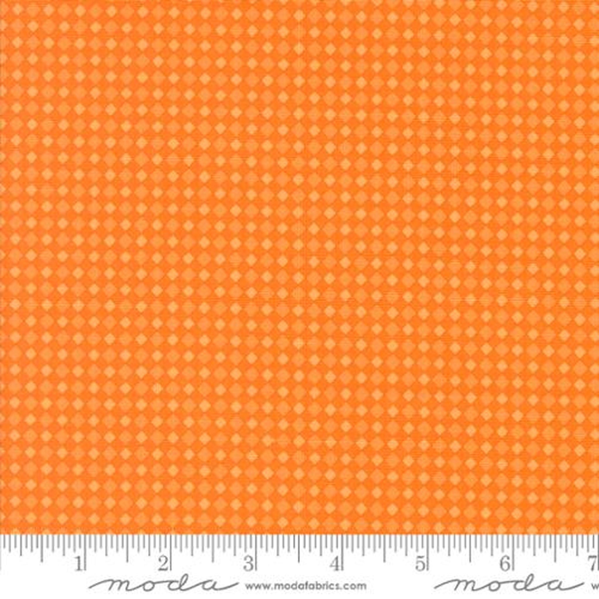 Fab Boo Lous Spooky Gingham Blenders Check Pumpkin