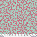 February 2024 by Kaffe Fassett Coral - Duckegg