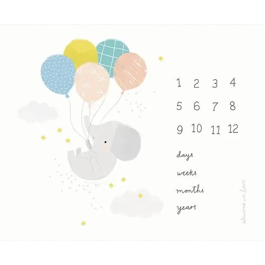 SAMPLE: Delivered with Love Panel Quilt (36" x  44")