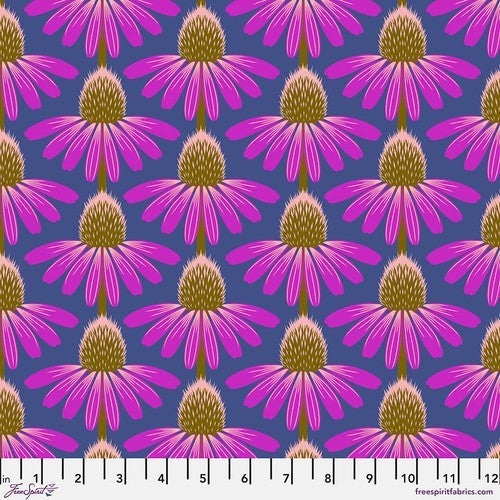 FS Anna Maria Horner - Echinacea - Haute