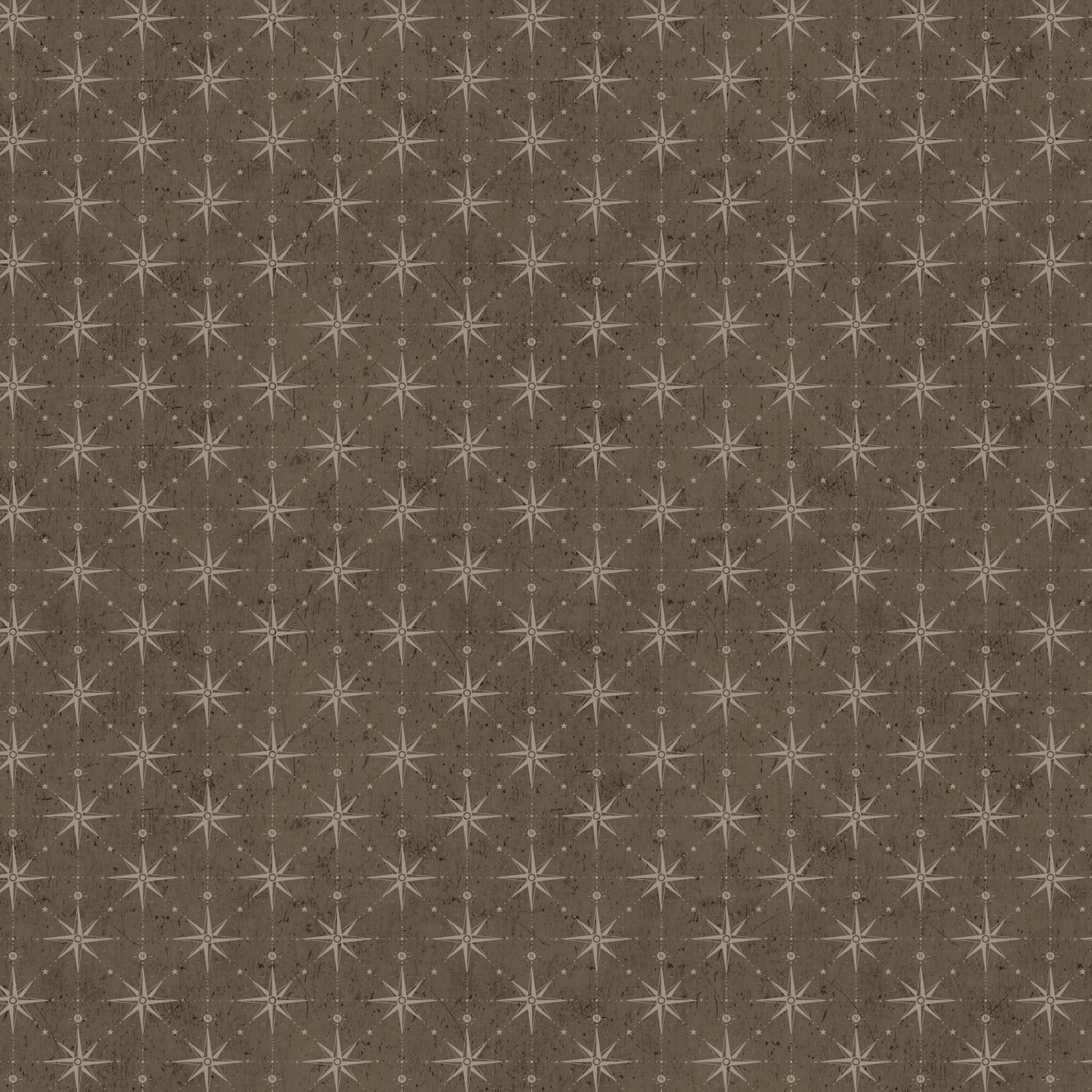 Great Journey by Bernadett Urbanovics - Compass Brown