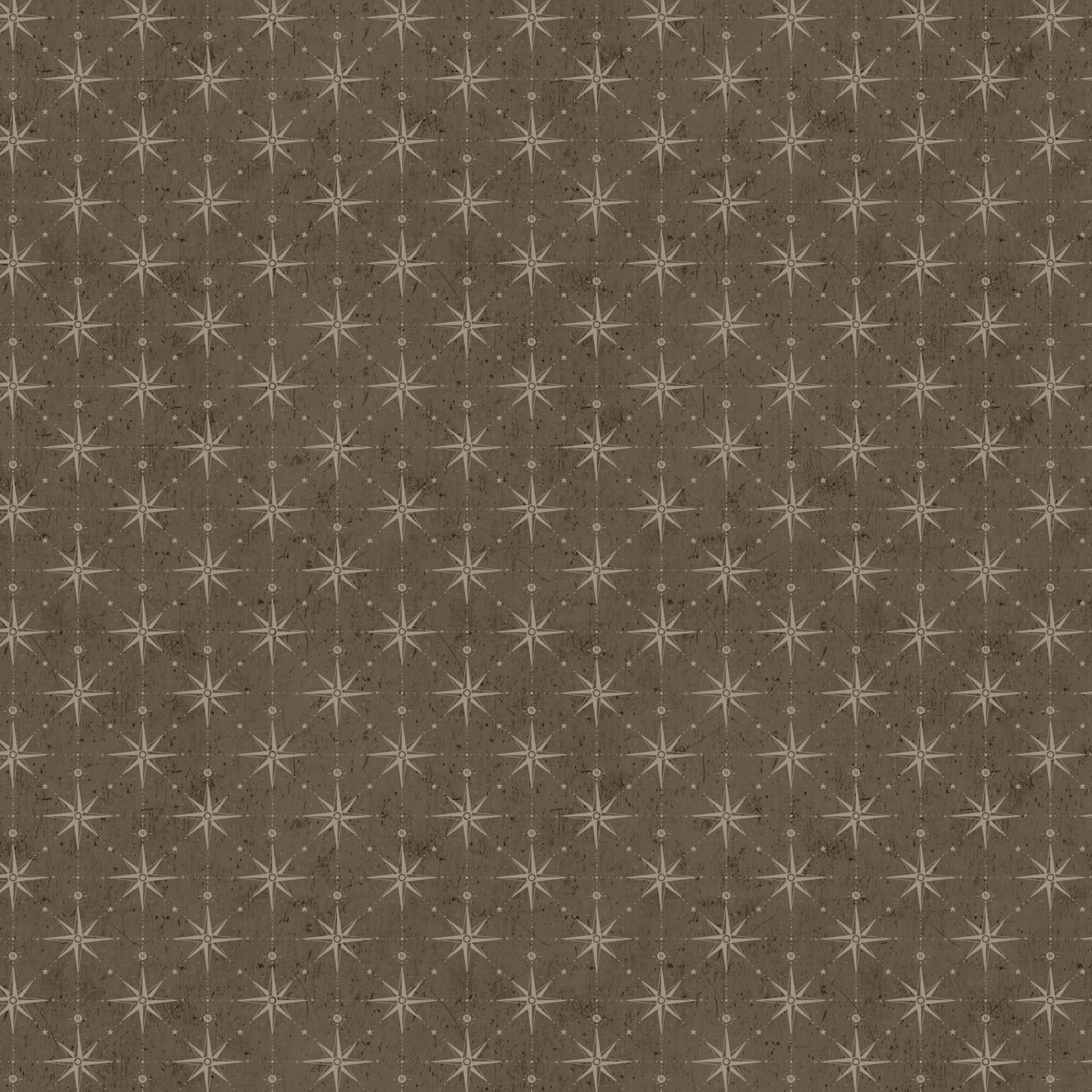 Great Journey by Bernadett Urbanovics - Compass Brown