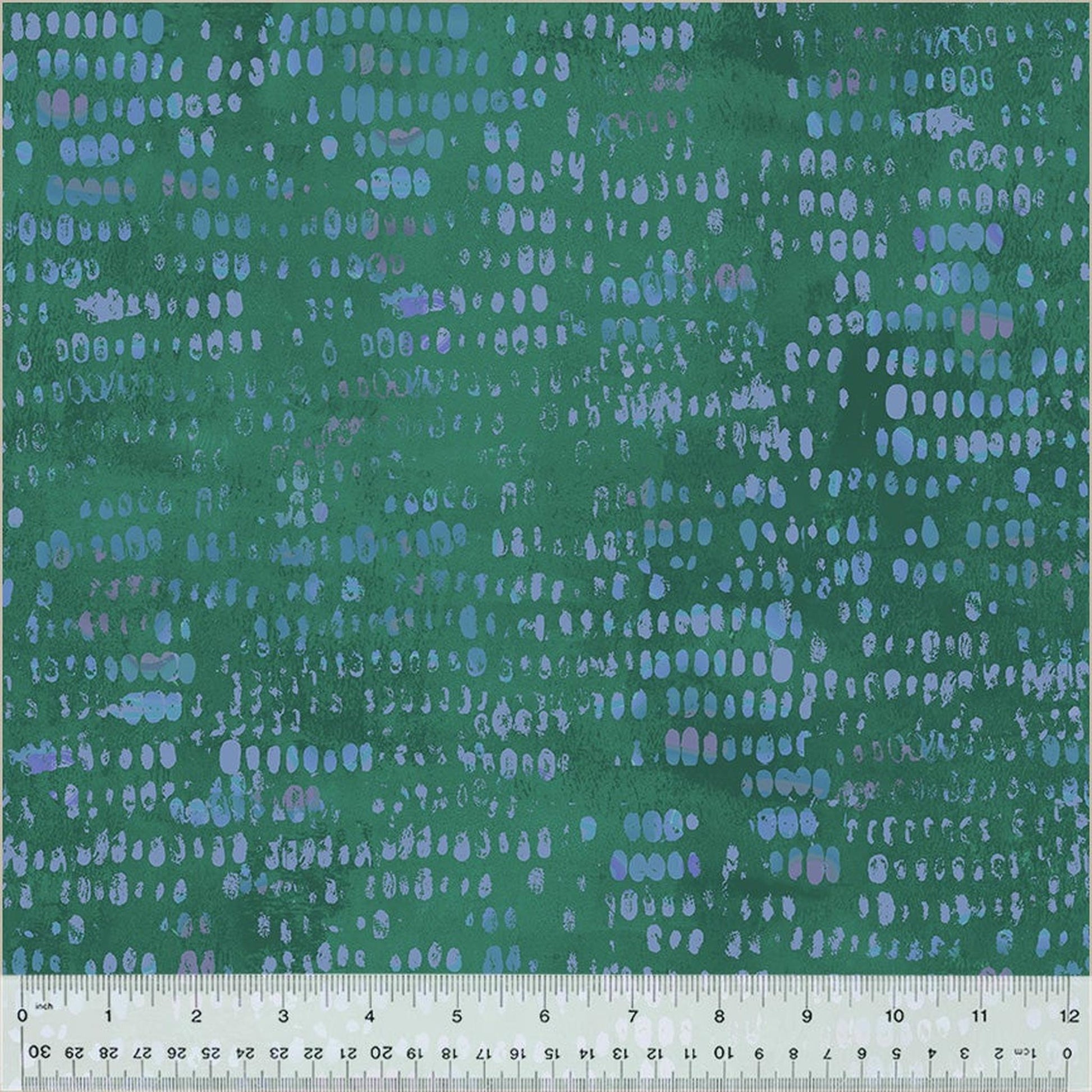 Grounded by Maria Carluccio - Planting Seeds Agave