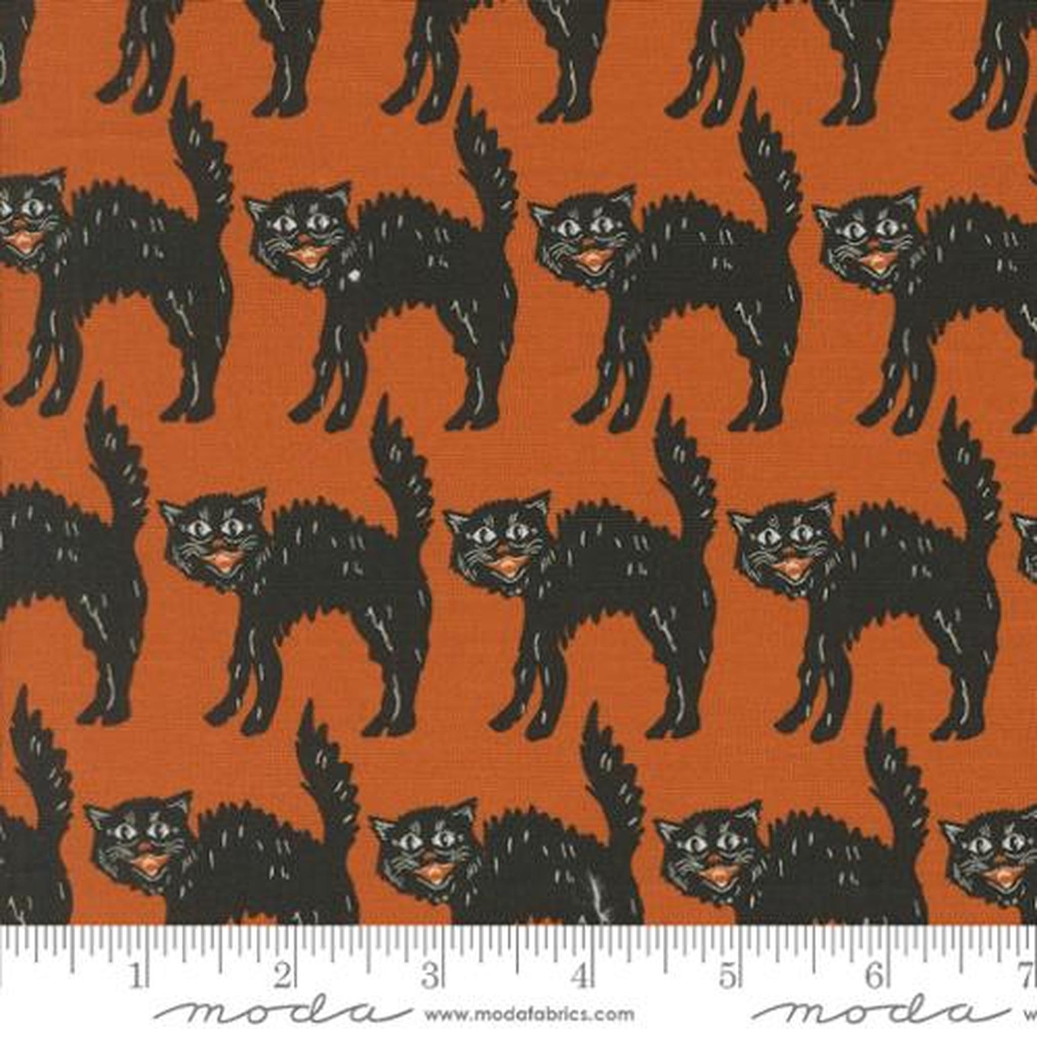Home Sweet Haunt by Stacy Iest Hsu - Little Black Cat: Rust