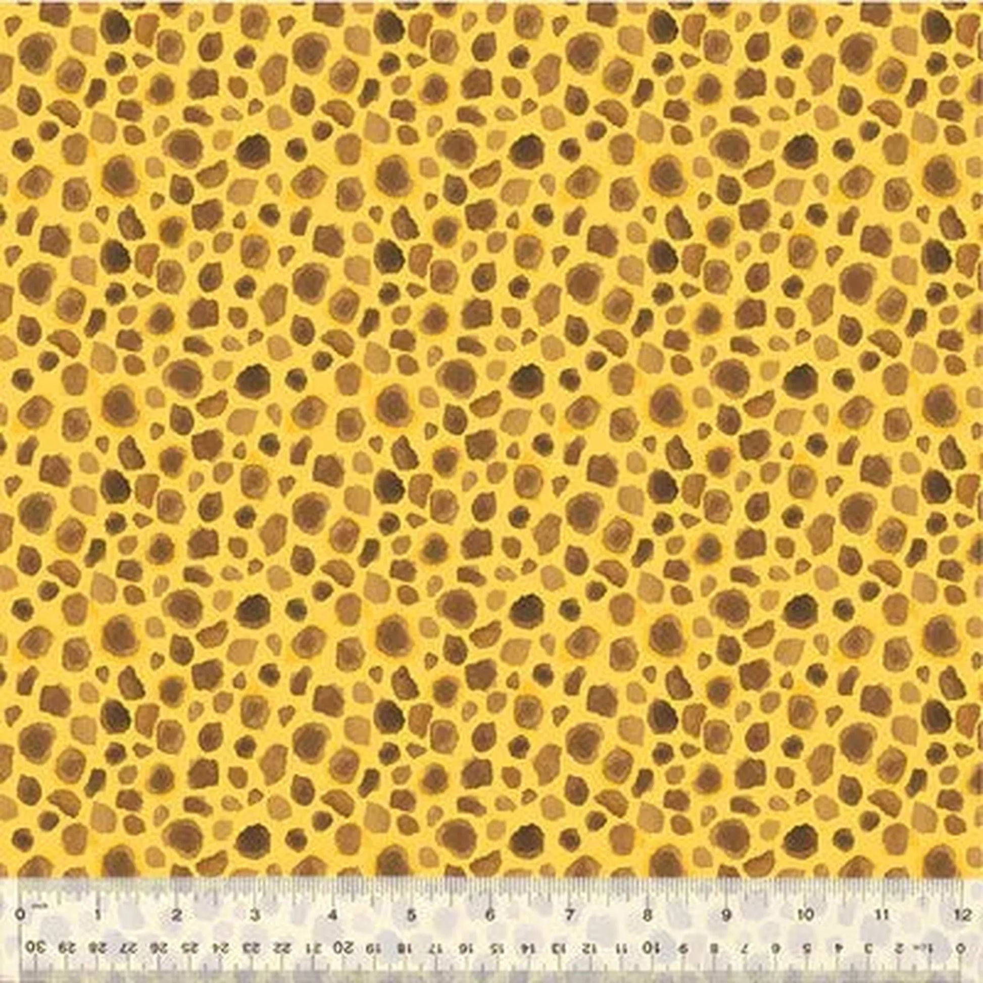 King of the Jungle | First Spots - Golden