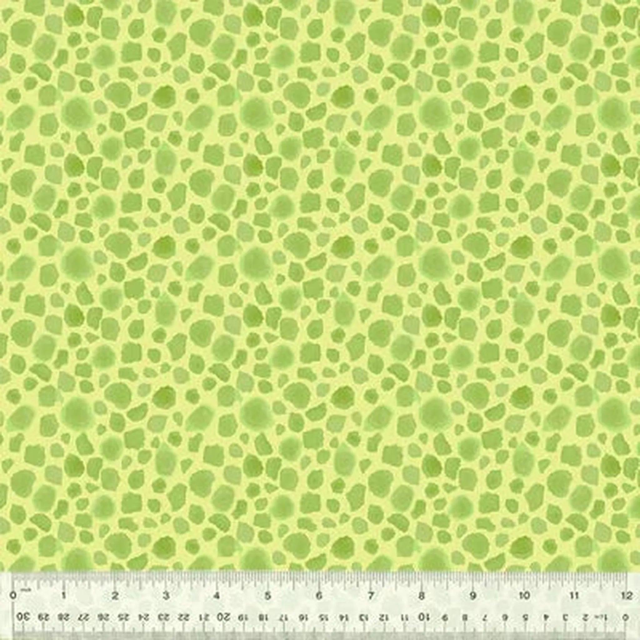 King of the Jungle | First Spots - Soft Green