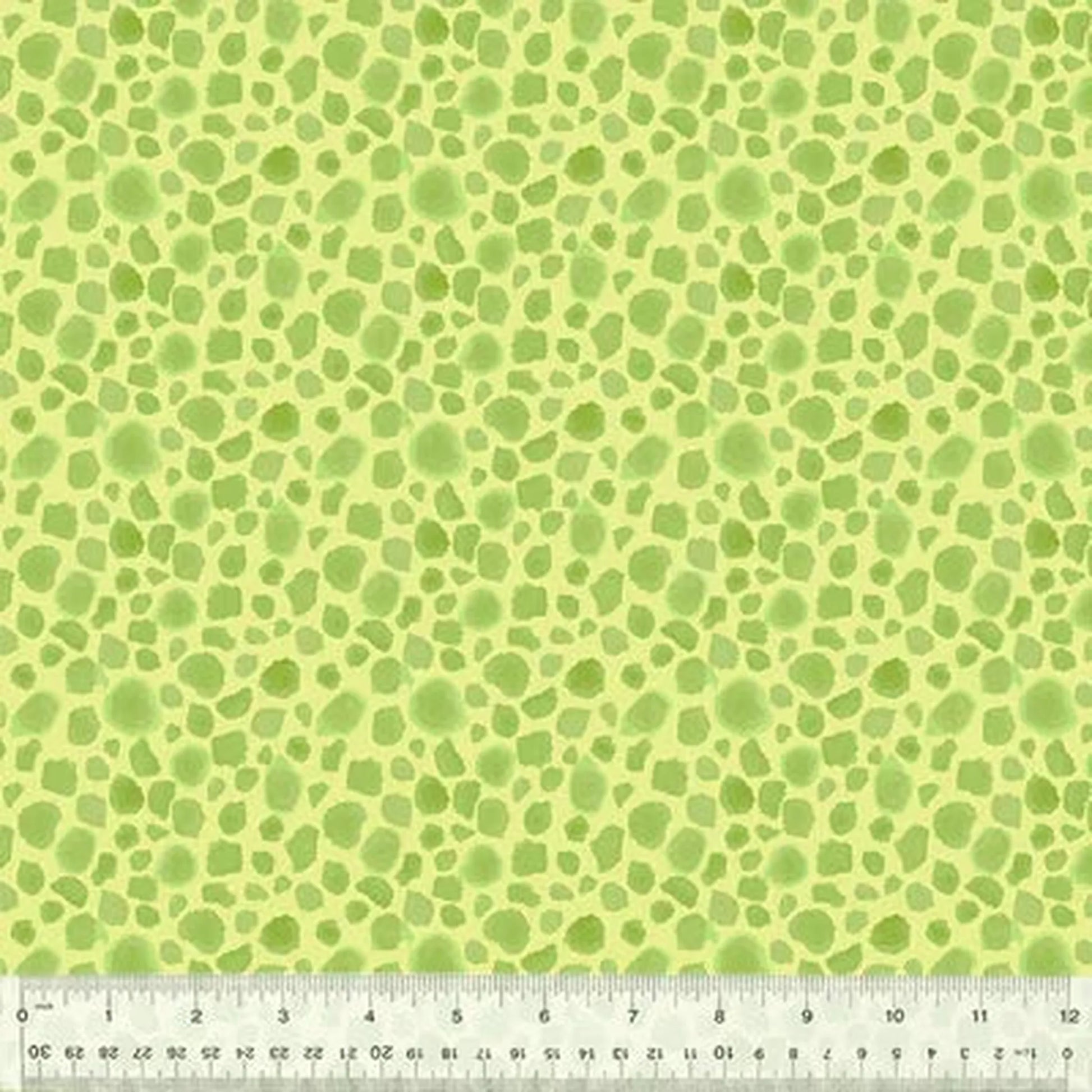 King of the Jungle | First Spots - Soft Green