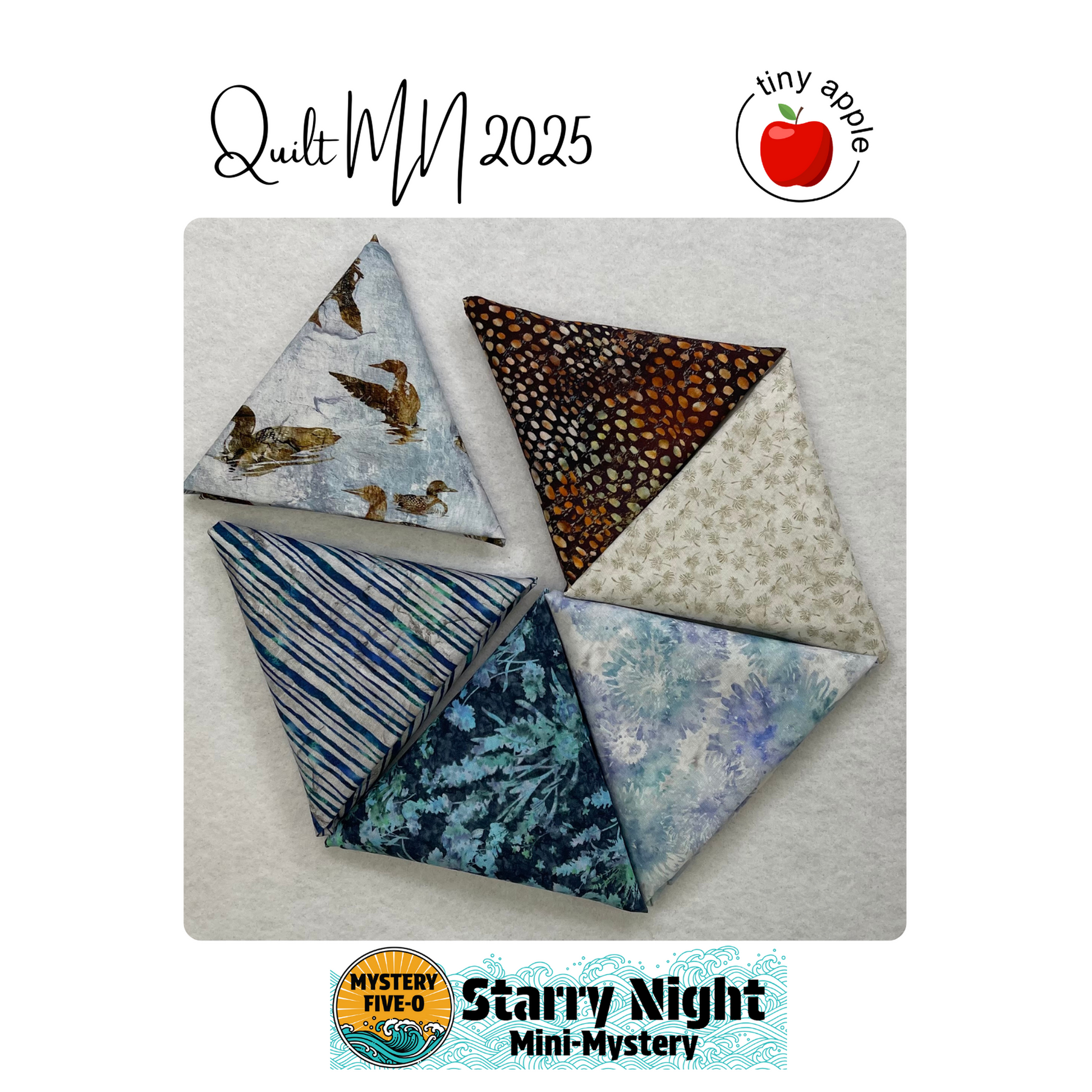 Kit: M50 Starry Night | Quilt MN (Pattern Included)
