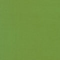 Kona Solids Grass Green