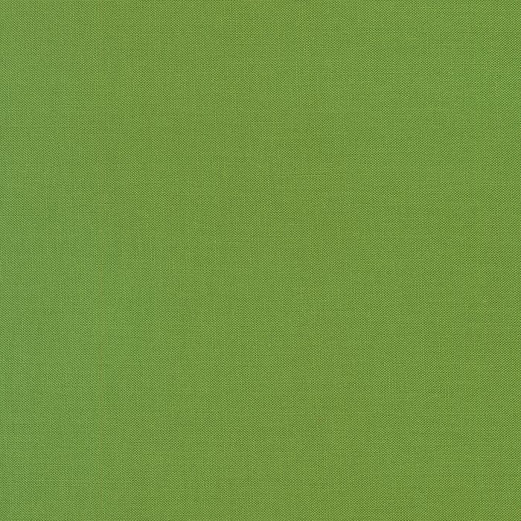 Kona Solids Grass Green