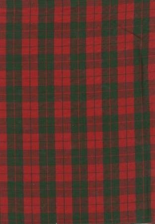 Dunroven House Tea Towel - Bright Red and Green