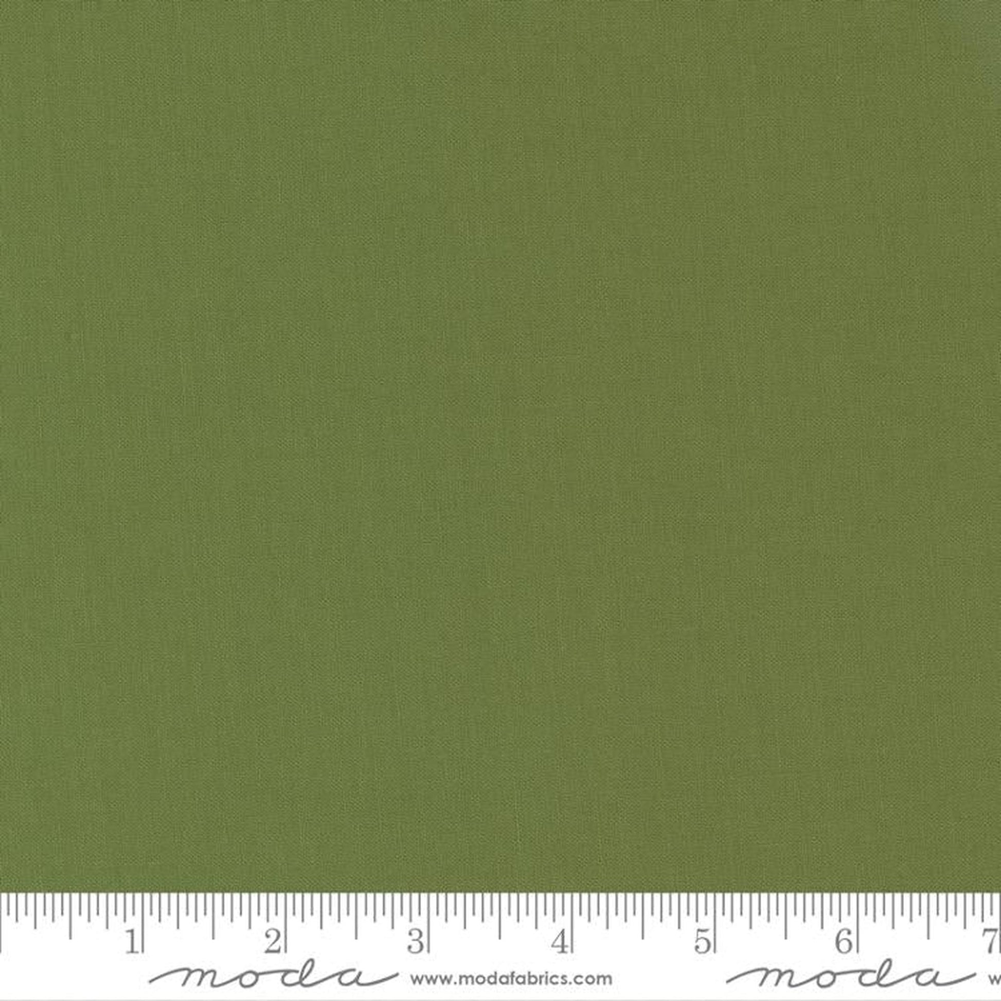 Moda Bella Solids Terrain Cactus