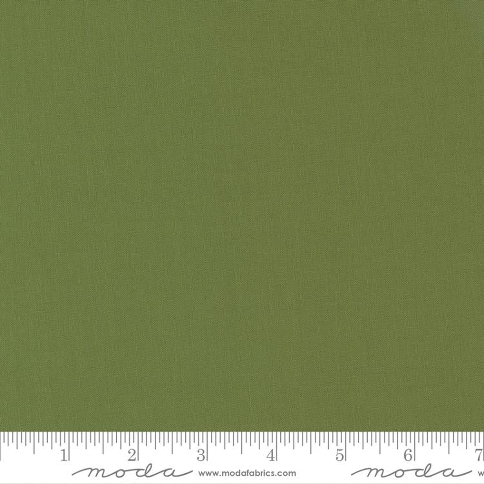 Moda Bella Solids Terrain Cactus