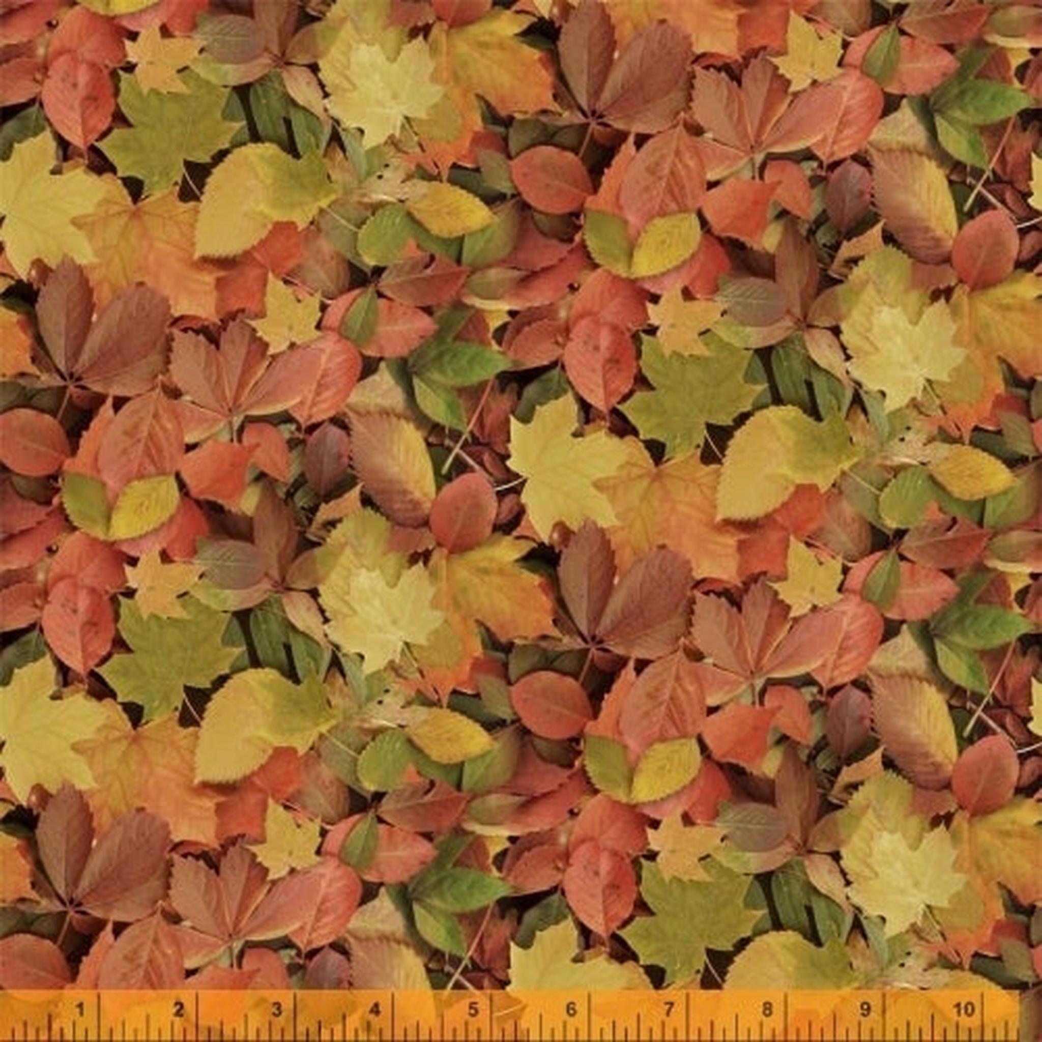 Landscapes by Windham - Autumn Splendor