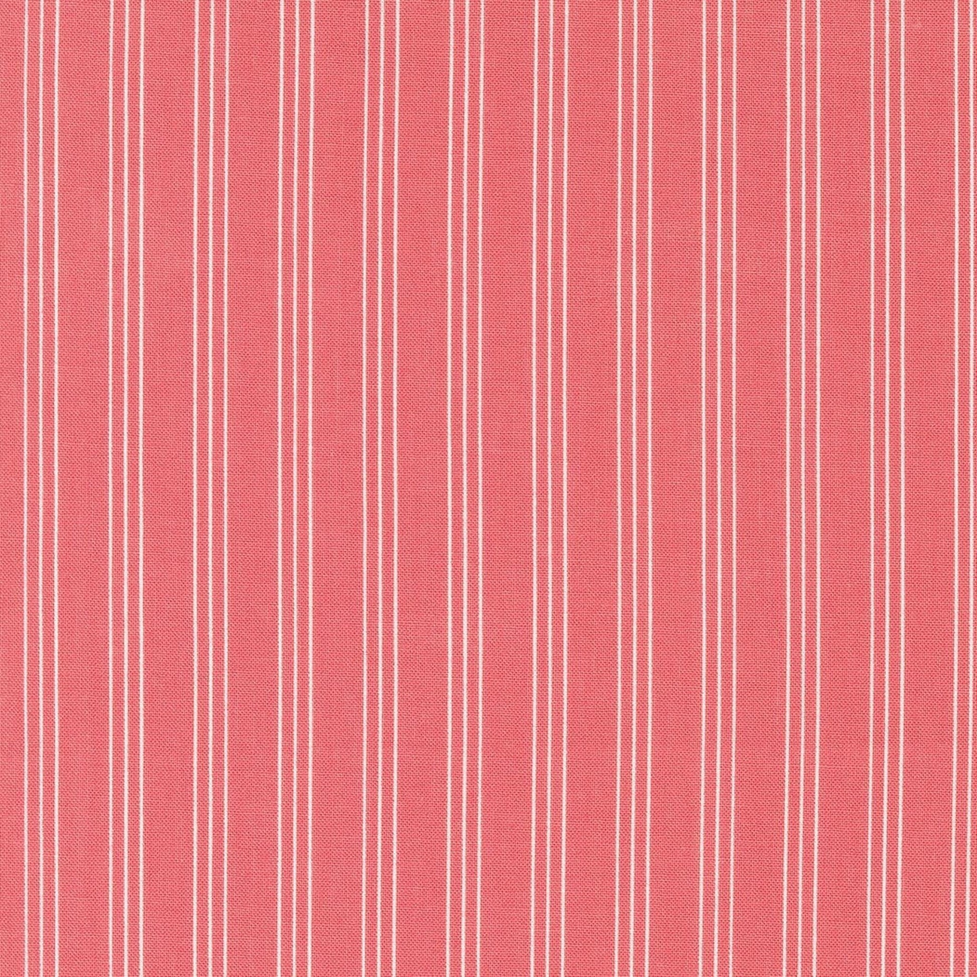 Lighthearted by Camille Roskelley Stripe Pink