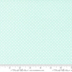 Lighthearted by Camille Roskelley Summer Light Aqua