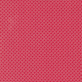 Lighthearted by Camille Roskelley Summer Red