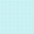Gingham - Aqua