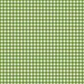 Gingham - Spring Green