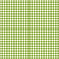 Gingham - Light Green