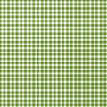 Gingham - Green
