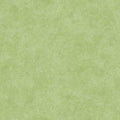 Fine Line Floral 108" Wide - Green