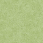 Fine Line Floral 108" Wide - Green