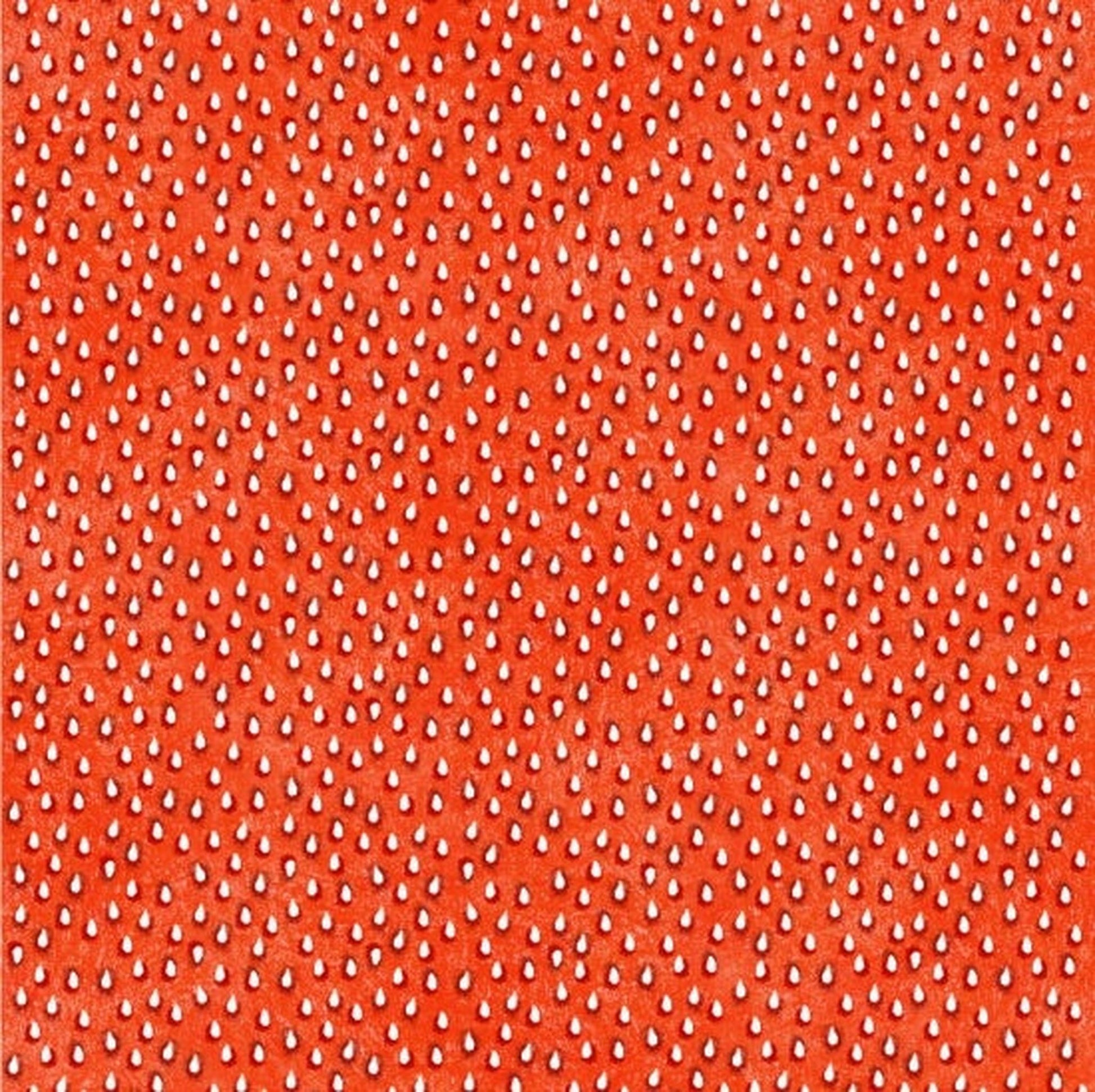 Mary Stewart Fruit Ladies Strawberry Seeds