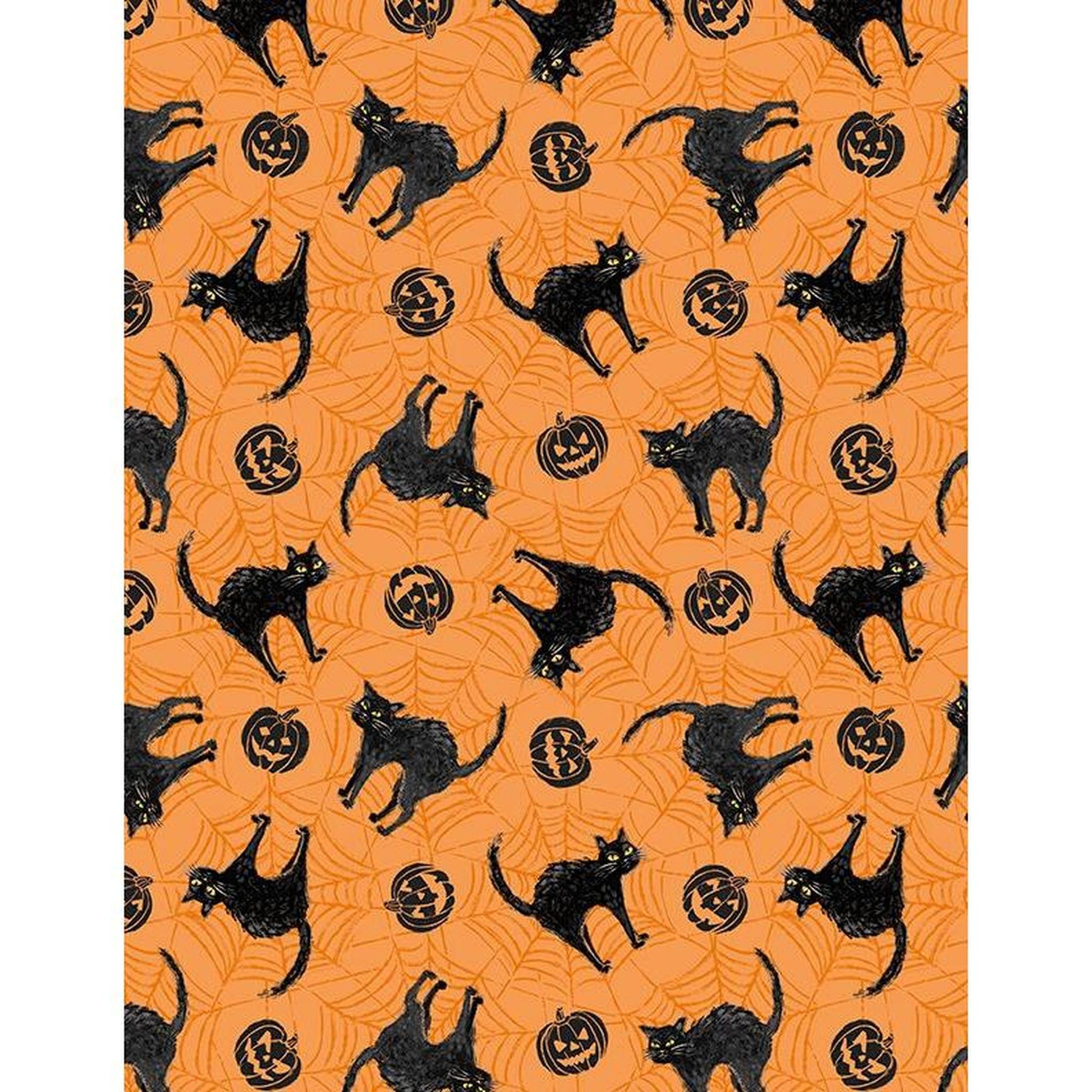 Meow-Gical Night by Michael Davis - Scaredy Cat: Orange