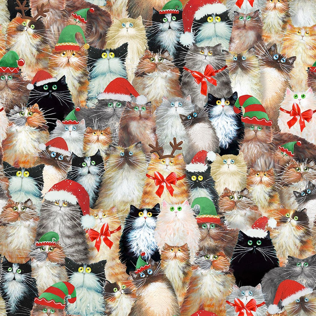 Meowy Christmas Cats in Hats - Multi